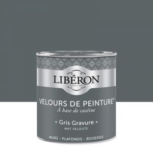 Liberon Peinture gris gravure mur, boiserie, radiateur velours 0.5 l