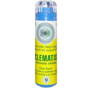 Eumadis Elixirs Floraux de Bach n&deg;16 Honeysuckle