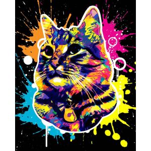Broderie diamant : Chat Splash Pop Art - toile tendue sur chassis