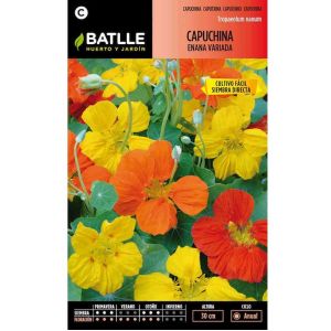 Batlle Graines De Capucine Naine Variée