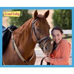 Image de Mb puzzle Puzzle Grand Galop 200 pièces