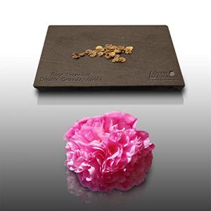 15 graines Fleurs à semer - Le Grenier d'Abondance - ROSE TREMIERE à fleurs doubles - Alcea rosea