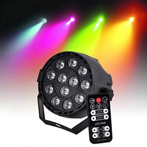 Ibiza Light Projecteur PAR à LEDs RGB 12 X 3W (3-en-1) DMX Strobe