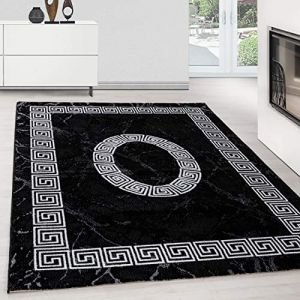 Teppium Tapis de Salon à motif méandre moderne Noir Tapis 280x370 cm - Poil Court Moelleux et Tendance