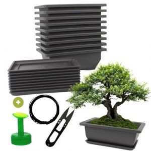 Cultivea - Lot de 10 Pots pour Bonsai avec Soucoupe &ndash; Kit Complet pour Culture et Entretien : Pots en Plastique avec Fil Bonsai, S&eacute;cateur, Bouchon Arrosoir et Drainage Int&eacute;gr&eacute;