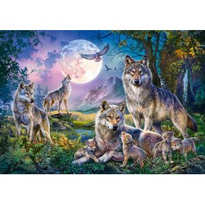 Image de Schmidt Puzzle Loups Spiele