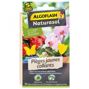 Algoflash Pièges à insectes jaunes collants décoratifs - 10 stickers