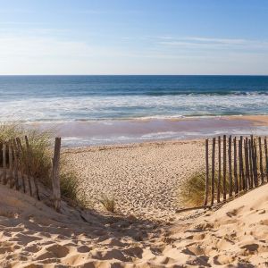 Ceanothe Reg'Art 90X90 Baie Arcachon
