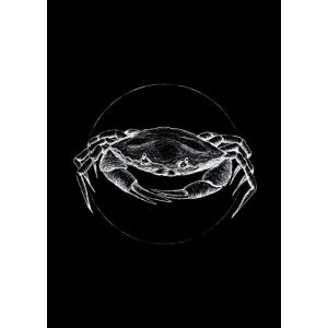 Komar Affiche d'art Crab Black - Taille: 50 x 70 cm - noir, blanc