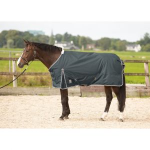 Harry's Horse Couverture ext&eacute;rieur pour cheval Thor 100 gr