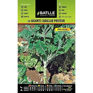 Batlle Col chevaux giant (Proteored)
