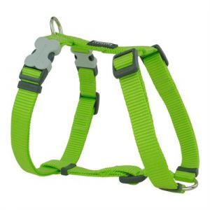 Harnais pour Chien Lisse 2539 cm Citron