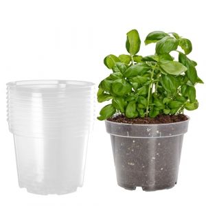 Garronda Pots Horticulture Ronds Transparents Pots pour Culture de Plants de Plantes et Fleurs GD-0024 (10 Pi&egrave;ces Transparent, ⌀ 9cm H 8,5cm)