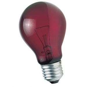 ZOOMED Lampe chauffante infrarouge nocturne 60 W Pour terrari