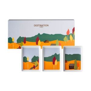 Image de DESTINATION FORET Coffret 3 mini plats 16 x 12 cm