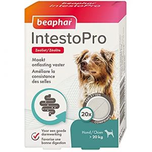Beaphar IntestoPro >20 kg