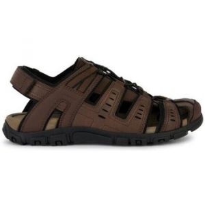 Geox Homme Uomo Strada C Sandales Sport, Marron fonc&eacute;, 41 EU