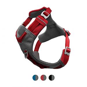 Image de Kurgo Journey Air (TM) - Harnais de course pour chien, harnais de randonnée pour chien, harnais pour chien, rouge - gris, moyen, M