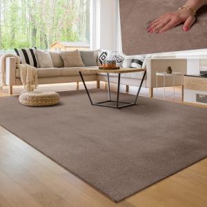 Paco Home Tapis de salon Unicolore Lavable Pile courte et douce 200x280 cm, Taupe