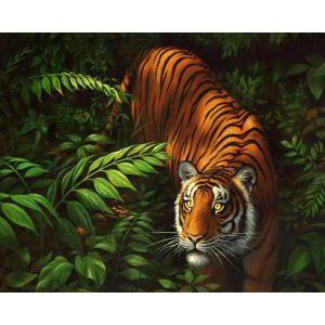 Peinture au numéro : Tigre dans les fougères - toile tendue sur châssis