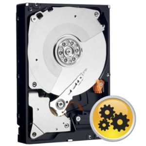 Image de Western Digital WD5003ABYX - Disque dur RE4 500 Go 3.5" SATA II 7200 rpm