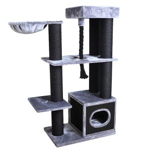 Ebi Arbre à chat Leicester