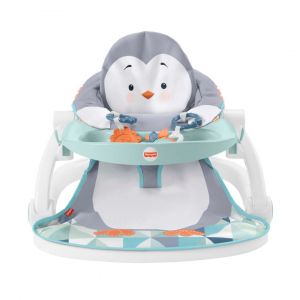 Fisher-Price Siège Jeu Et Confort Avec Plateau