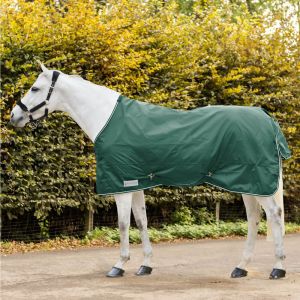 Waldhausen Couverture d'extérieur pour cheval Economic