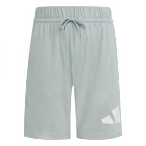 Adidas Unisex Kinder Essentials BIG Logo Shorts, Wonder Sage/White, 9-10 Years