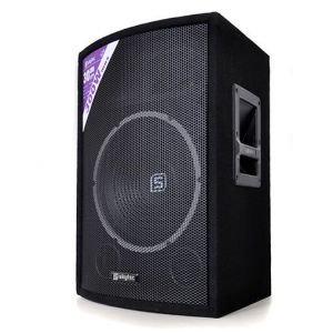 Skytec Haut parleur Sono Passive DJ PA caisson de basse 12