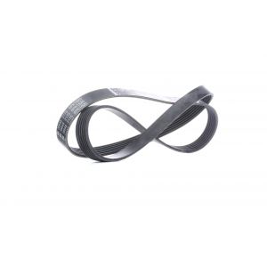 Febi Bilstein Courroie Trapézoïdale à Nervures 38848 VW,FORD,SKODA,LUPO 6X1, 6E1,AMAROK Caja/Chasis S1B,FOCUS C-MAX,FOCUS II DA_,C-MAX DM2