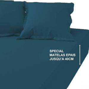 Drap-housse grand bonnet XL Coton Tertio - Bleu Canard