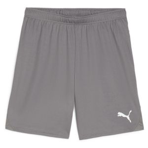 Puma TeamGOAL Shorts, Short en Maille Adultes Unisexes, Cast Iron White, 705752