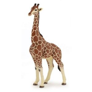 Image de Papo Figurine Girafe mâle