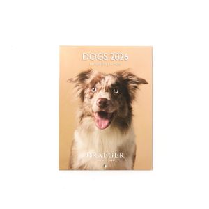Draeger Petit Calendrier Mensuel 2026 13x18 cm - Plusieurs Styles