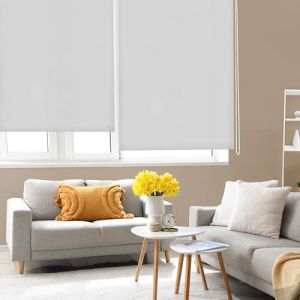 Blindecor Ara | Store enrouleur translucide uni - Gris argent, 140 x 250 cm (largeur x hauteur) | Taille du tissu 137 x 245 cm | Stores pour fenêtres