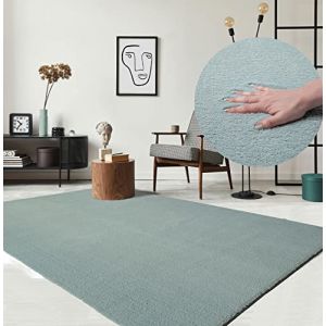 Tapis de Salon ou chambre en bleu 60x110 | Tapis poil ras moderne et doux | Rectangulaire | Interieur | Lavable - The Carpet Loft