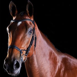 Weatherbeeta Bridons équitation d'entraînement pour cheval Collegiate Comfitec