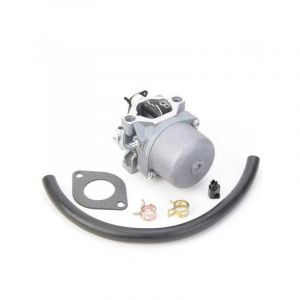 Carburateur pour moteur Briggs & Stratton 590399