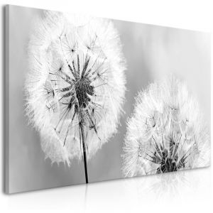 Artgeist Tableau Imprimé "Fluffy Dandelions Grey Wide" 45x100cm