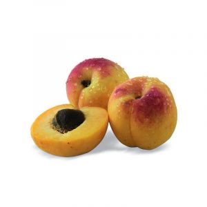 Abricotier nain Petit' Abri - Nain de jardin/Pot de 5L