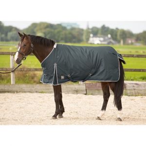Harry's Horse Couverture ext&eacute;rieur pour cheval Thor 300