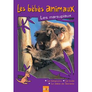 Les bébés animaux : Les marsupiaux