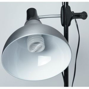 Daylight Lampe studio sur pince