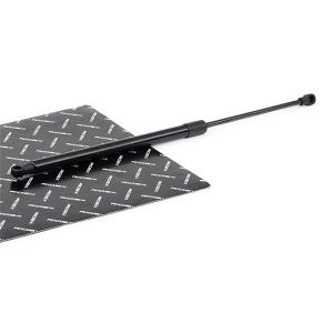 RIDEX V&eacute;rin de coffre PEUGEOT 219G1050 9807899380