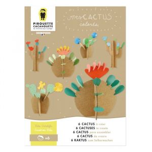 Pirouette cacahou&egrave;te Kit cr&eacute;atif cactus