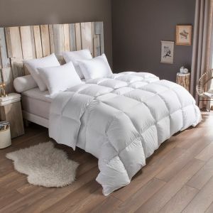 Dodo Pack Duvet Couette chaude + Oreiller -50% duvet de canard 220/240 Blanc