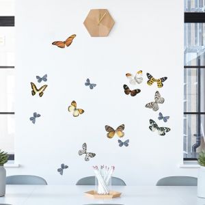 Plage Sticker décoratif, photo des papillons multicolores, 68 cm X 24 cm