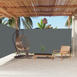 VidaXL Auvent latéral rétractable Anthracite 180x600 cm