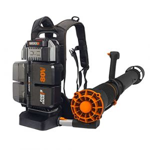 Worx NITRO WG572E Souffleur à feuilles 80 V (4 x 20 V/4000 mAh) avec sac à dos sans fil et unité d'alimentation BASECAMP